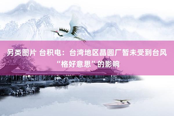 另类图片 台积电：台湾地区晶圆厂暂未受到台风“格好意思”的影响