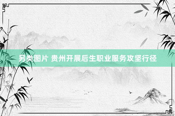 另类图片 贵州开展后生职业服务攻坚行径