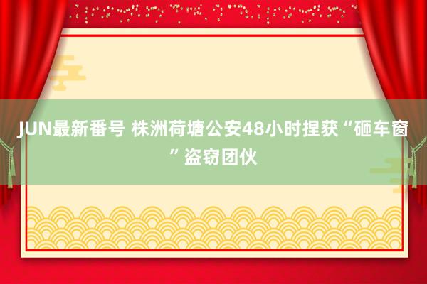 JUN最新番号 株洲荷塘公安48小时捏获“砸车窗”盗窃团伙