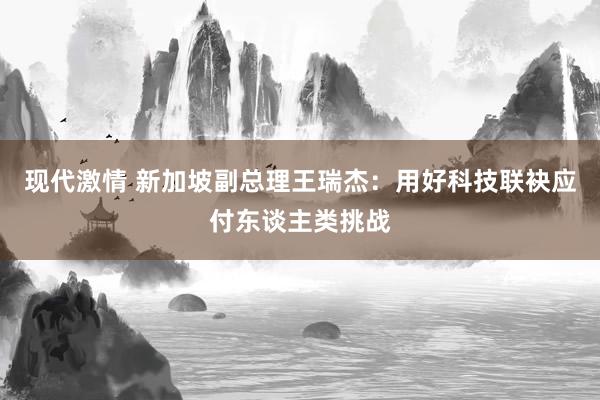 现代激情 新加坡副总理王瑞杰：用好科技联袂应付东谈主类挑战