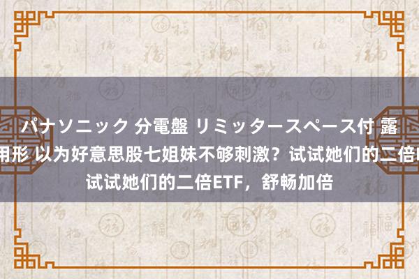 パナソニック 分電盤 リミッタースペース付 露出・半埋込両用形 以为好意思股七姐妹不够刺激？试试她们的二倍ETF，舒畅加倍