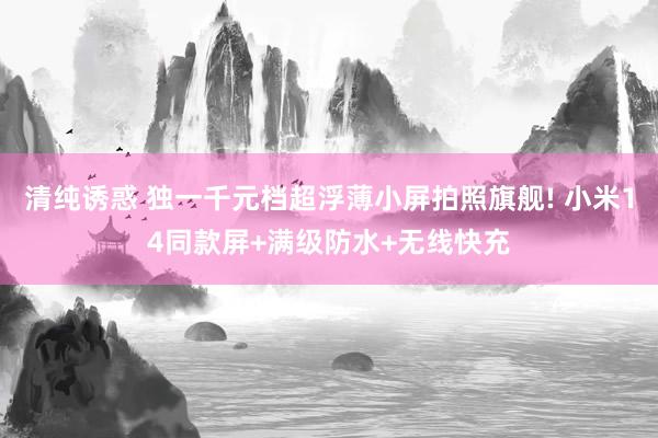 清纯诱惑 独一千元档超浮薄小屏拍照旗舰! 小米14同款屏+满级防水+无线快充