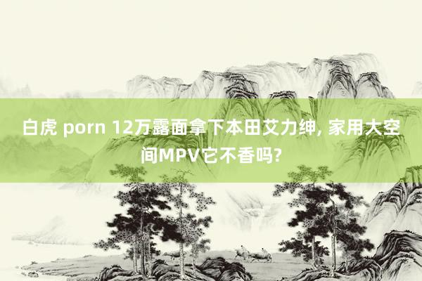 白虎 porn 12万露面拿下本田艾力绅， 家用大空间MPV它不香吗?