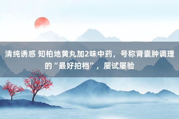 清纯诱惑 知柏地黄丸加2味中药，号称肾囊肿调理的“最好拍档”，屡试屡验