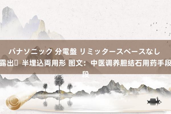 パナソニック 分電盤 リミッタースペースなし 露出・半埋込両用形 图文：中医调养胆结石用药手段