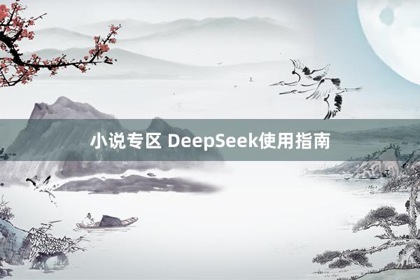 小说专区 DeepSeek使用指南