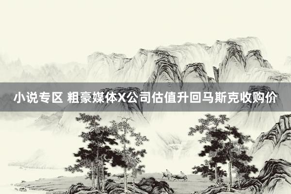 小说专区 粗豪媒体X公司估值升回马斯克收购价